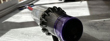 Los pelos de mi perro campaban a sus anchas en casa hasta que decidí acabar con ellos. Y funcionó cuando cambié todo esto