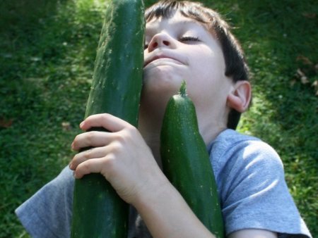 Estrategias probadas para que los niños se coman la verdura