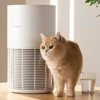 Los mejores purificadores de aire Xiaomi que puedes comprar en 2025 y por qué elegirlos