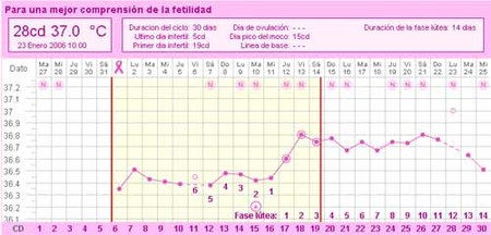 28 días.es: conoce tus días fértiles