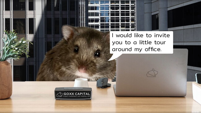 Oficina Goxx