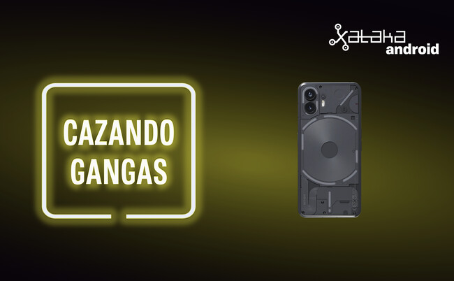 Cazando Gangas