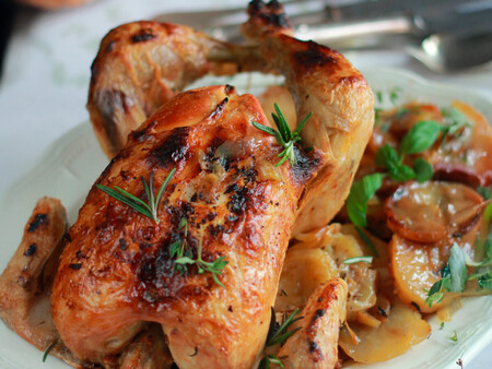 Pollo