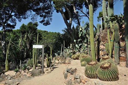 Jardines De Cap Roig Calella De Palafurgell 8 2013 11