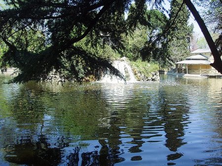 Becas para los campamentos de verano: una buena opción para los hijos