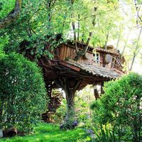 Una de las cabañas en los árboles más rústicas del mundo está en Cuenca