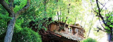Una de las cabañas en los árboles más rústicas del mundo está en Cuenca