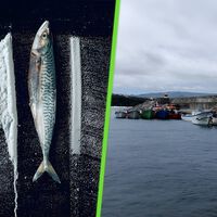 En 2001 un yate se refugió en una isla remota del Atlántico. Días después sus habitantes empanizaban pescado con coca