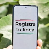 Casi 100 millones de líneas siguen sin registrar en México. La GSMA ya se ha pronunciado y no está de acuerdo con la CRT 