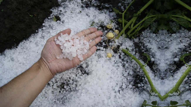 Granizo