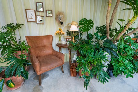 Pexels Peterdanthy 32774620