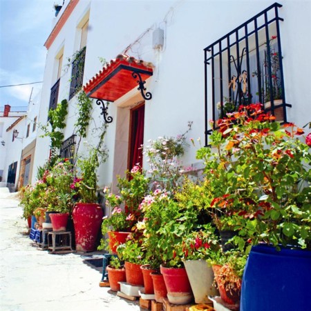 Torrealhaquime