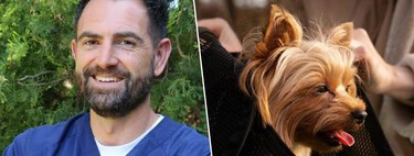 Tomás Camps, veterinario: "Hay perros que viajan muy a gusto, pero también hay muchos para los que puede ser una experiencia horrible dependiendo del transporte, el destino y de cómo se hayan preparado las vacaciones"