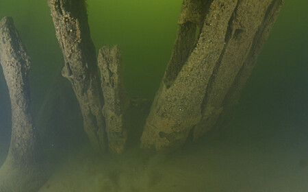 Naufragio