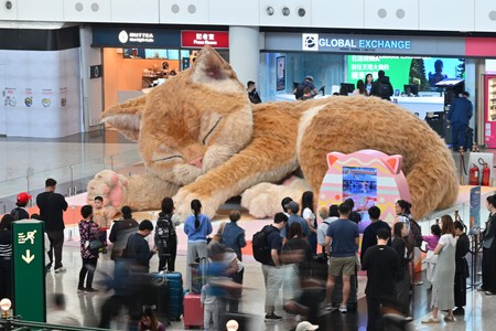 Gato Interactivo Miau En El Viaje 1