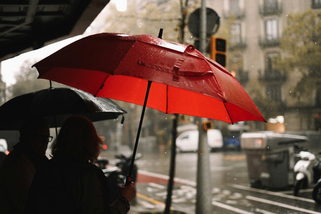 Lala Azizli Cwhcjllhhq8 Unsplash