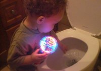 La irresistible atracción del agua del inodoro