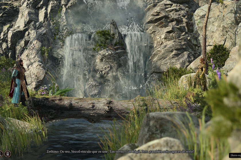 Bug Final Bg3
