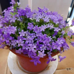 Foto 14 de 15 de la galería galeria-de-la-panasonic-lumix-tz100-13-fotos en Xataka Foto