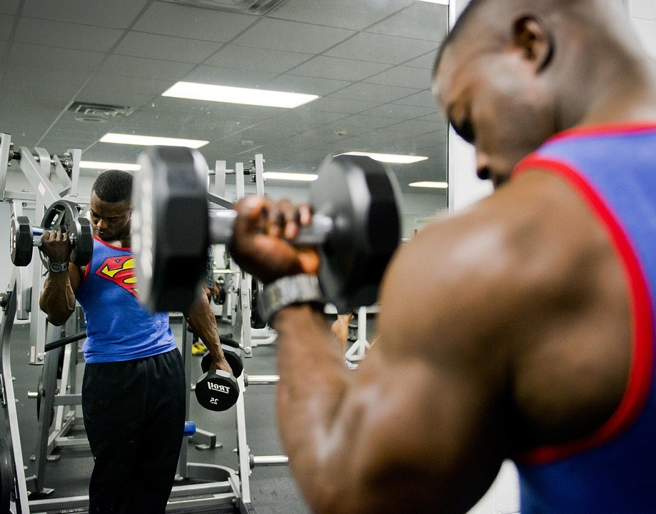 Una rutina de entrenamiento perfecta para los novatos del gimnasio 