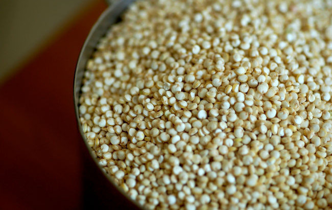Todo sobre la quinoa: propiedades, beneficios y su uso en la cocina
