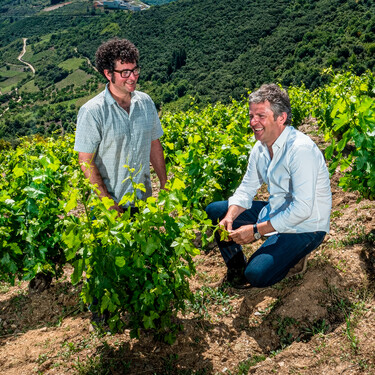 La bodega de la familia Palacios que ha convertido el Bierzo en una referencia para los aficionados al vino de autor