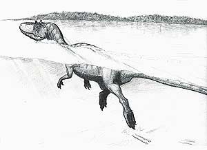 Algunos dinosaurios podían nadar
