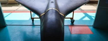Ucrania ha abierto el dron de Moscú inmune a la guerra electrónica. De Rusia solo tiene el nombre, el resto es de los aliados