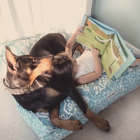 Cutie And The Beast Dog Girl Seana Doberman 95