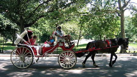 Viajar en carruaje por Central Park