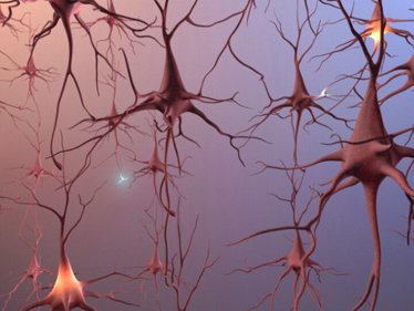 Se fabrican las primeras neuronas artificiales del mundo