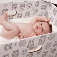 Los nuevos bebés gallegos recibirán una caja con regalos (aunque no podrán dormir en ella) 