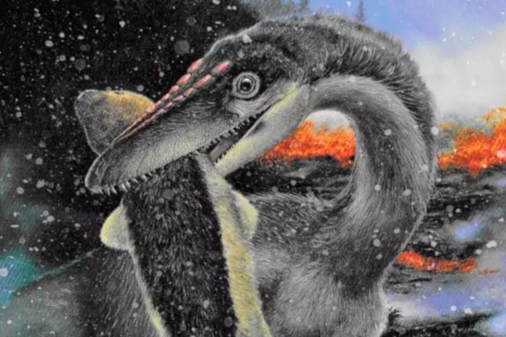 Algunos dinosaurios sobrevivieron a la extinción hace 200 millones de años gracias a algo crucial: plumas