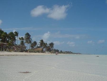 Cayo Guillermo