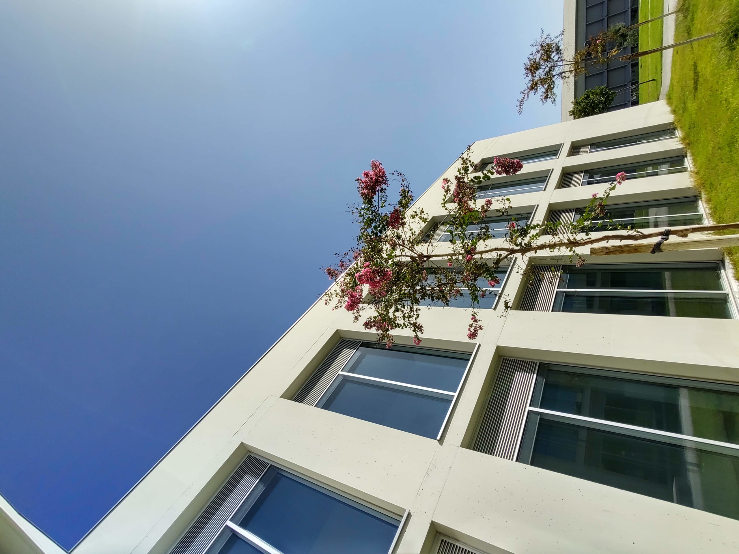 Foto de Galería Motorola One Zoom (21/26)