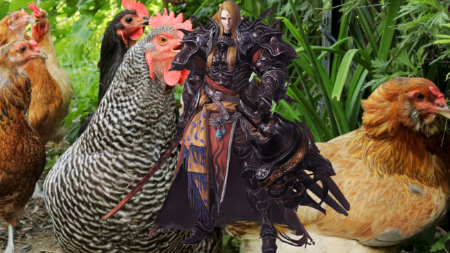 Zenos Pollo
