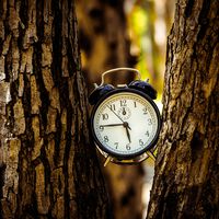 Durante décadas se ha defendido el cambio de hora por el ahorro. La realidad es más sencilla: adaptar el trabajo y la actividad humana