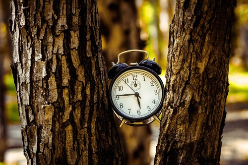 Yaniv Knobel 2yws62tlata Unsplash