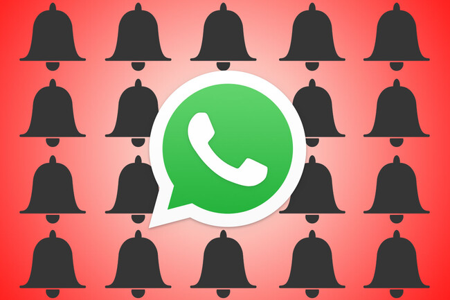 Notificaciones
