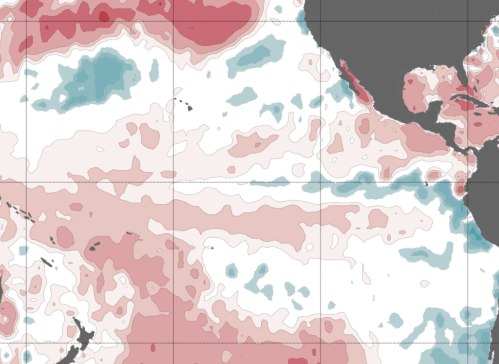 El mundo va directo a La Niña tras el verano, según la Organización Meteorológica Mundial. Es momento de prepararnos 