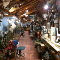 El Museo de Fort Nelson que alberga vehículos de la Segunda Guerra Mundial y especímenes raros de taxidermia