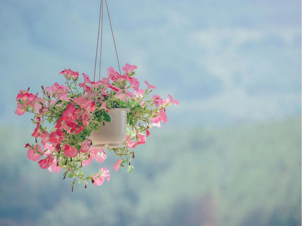 Las macetas pasan a un segundo plano: la tendencia que está redefiniendo balcones y terrazas en 2026 