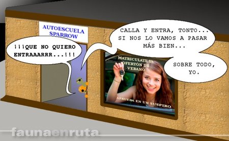 ¿Volverías a la autoescuela?