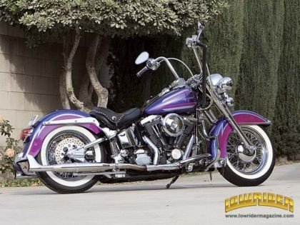 1995 Harley-Davidson Heritage Softail "Scooter Trash"