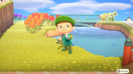 Animal Crossing: New Horizons: lista con todos los peces de noviembre
