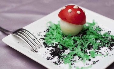 Descubre todos los secretos de la micología creativa en Soria