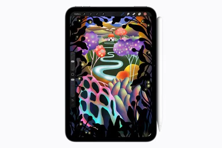 Ipad Mini 8