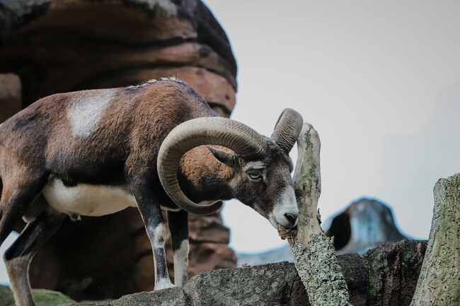 Aldrin Rachman Pradana Agyjklw0t5o Unsplash