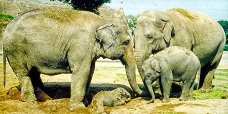 Motty And Others