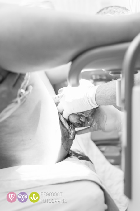 005 Head Born Fermont Fotografie